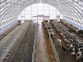 Hoop Barns Cattle Confinement